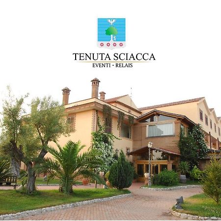 Tenuta Sciacca Villa Falciano del Massico Exteriör bild