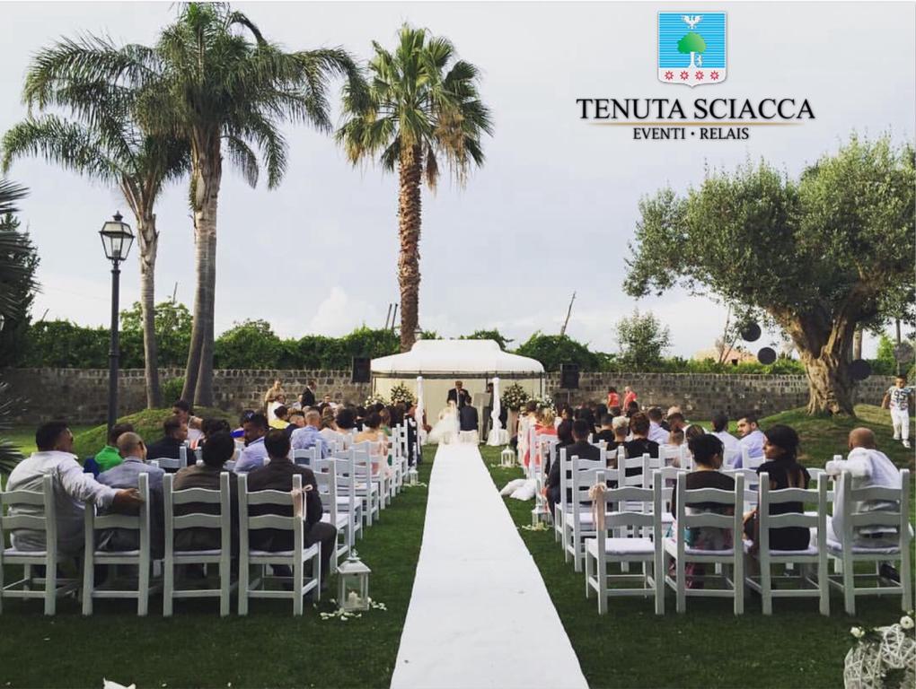 Tenuta Sciacca Villa Falciano del Massico Exteriör bild