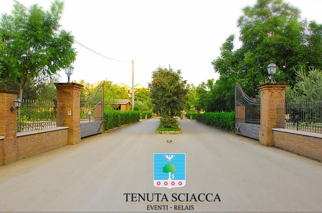 Tenuta Sciacca Villa Falciano del Massico Exteriör bild