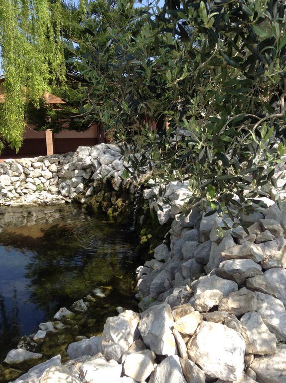 Tenuta Sciacca Villa Falciano del Massico Exteriör bild