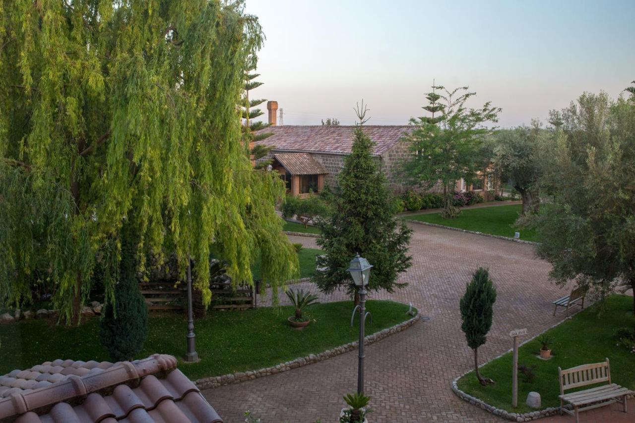 Tenuta Sciacca Villa Falciano del Massico Exteriör bild